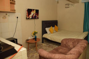 Beautiful Studio Bedsitter Roysambu Lumumba